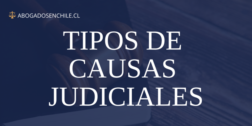 tipos de causas judiciales